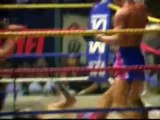 Muay Thai Kickboxing KOs