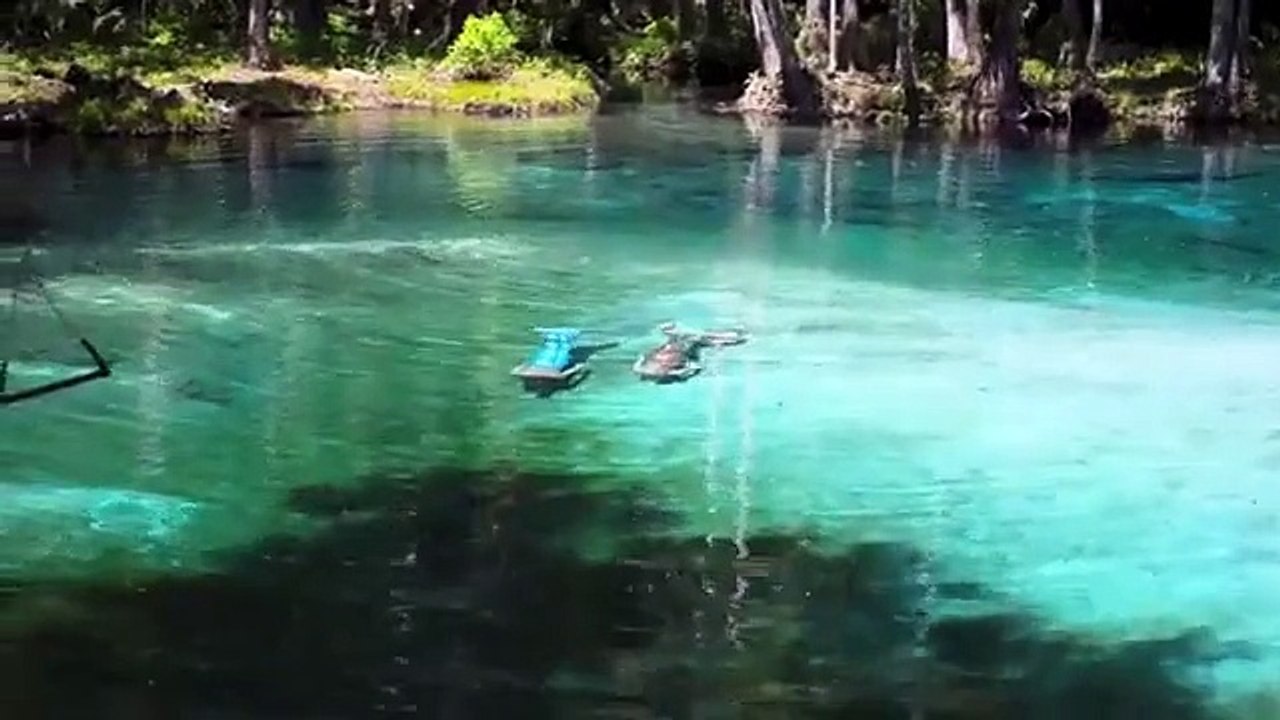 Mermaid & Merman -