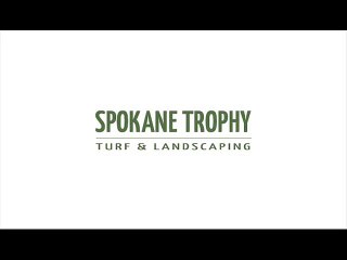 Spokane Trophy Turf | 509-710-6802 | Landscaping