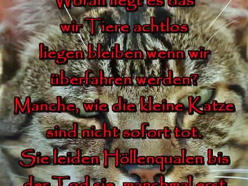 Ich wollte doch noch leben