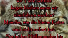 Ich wollte doch noch leben