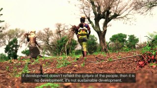 Cultivating the Future: Women Farmers in Ghana