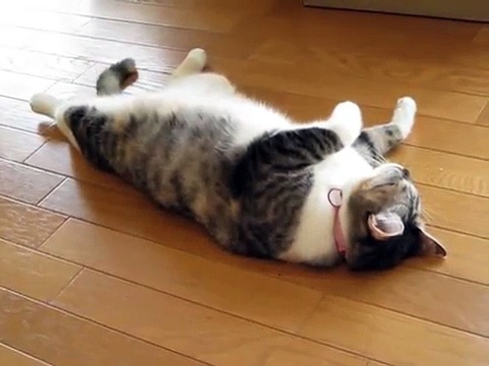 久石譲「もののけ姫」pianoうっとり姫