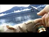 Silver/Coho salmon fishing in Alaska