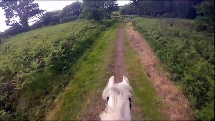 GoPro Horse Fall