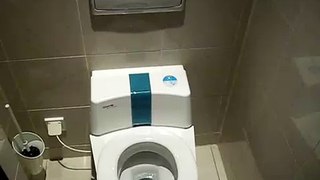 german self cleaning toilet