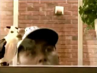 rodney carrington-more of a man