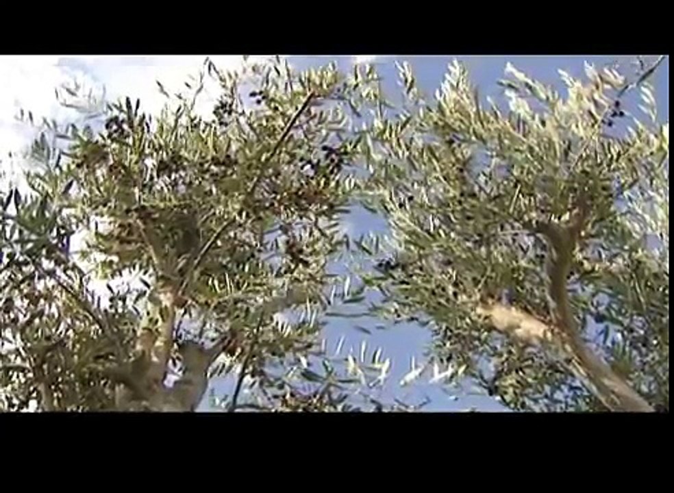 瀬戶之美 1 (繁體中文) - 香川縣的觀光信息