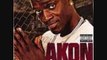Akon ft Rasheeda Make it hot
