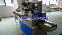 Packing Machine for Cookies,Cookies Packaging Machine Manufacturers