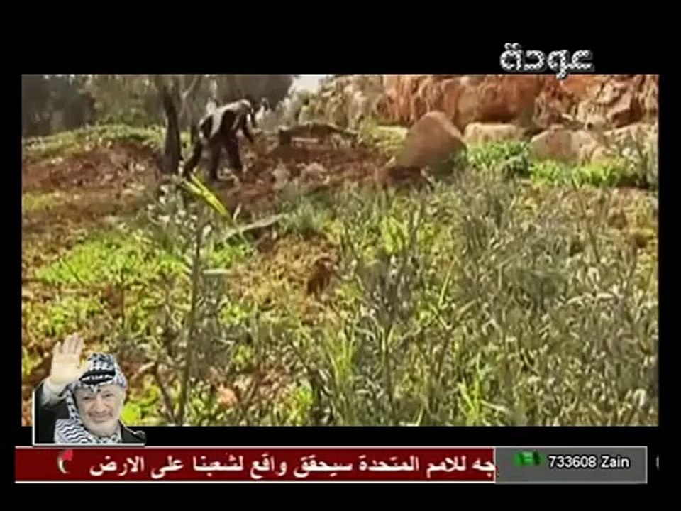 أغنية مدن فلسطين