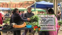 Proceso de producción, comercialización y consumo de hortalizas - Ecuador