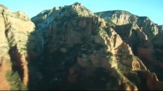 Freeflight Parrots in Various Exotic Locations