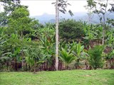 Venta Finca Costa Rica