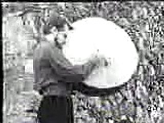 The Corries - Flower Of Scotland (1968)