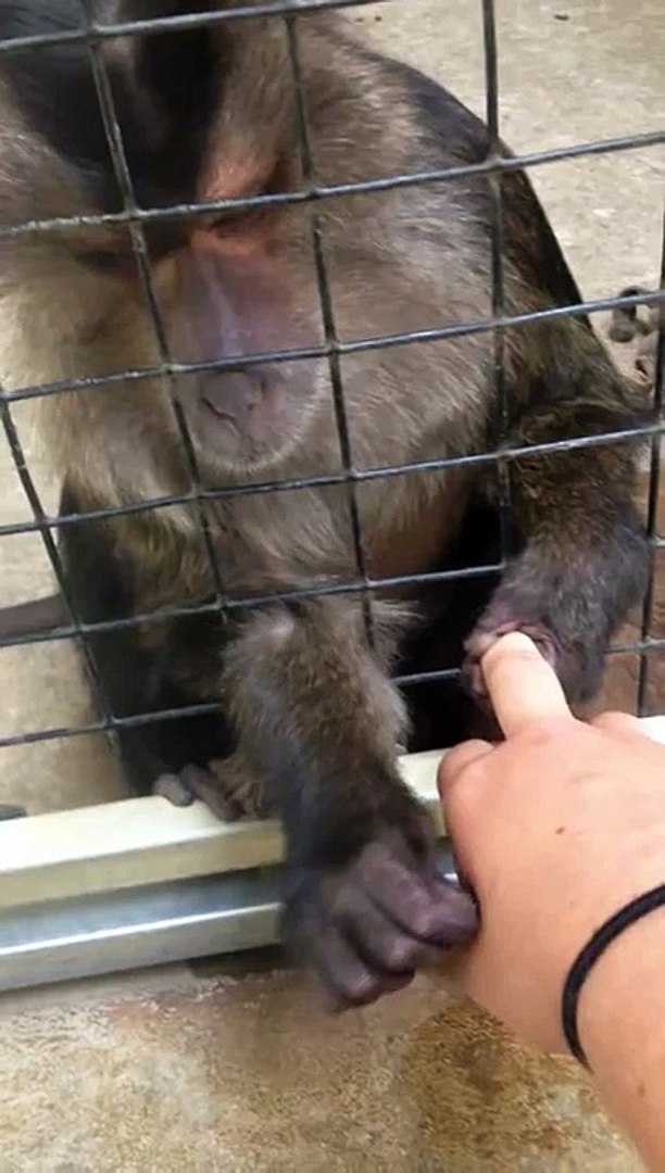 ⁣Lisa grooming me