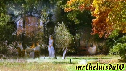 Matt H - Comment Le Dire - Audio Shaman - Tiger