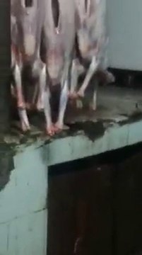 VID-20150912-WA0001.mp4