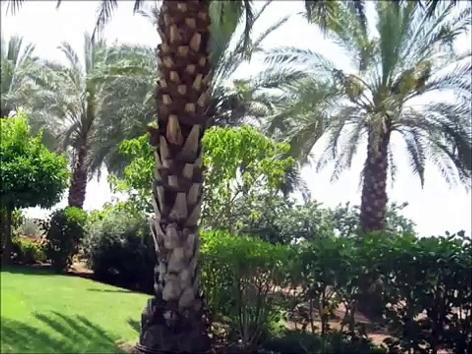 israel