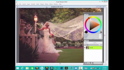 Corel Painter 2016: Auto-Painting and Dynamic Speckles