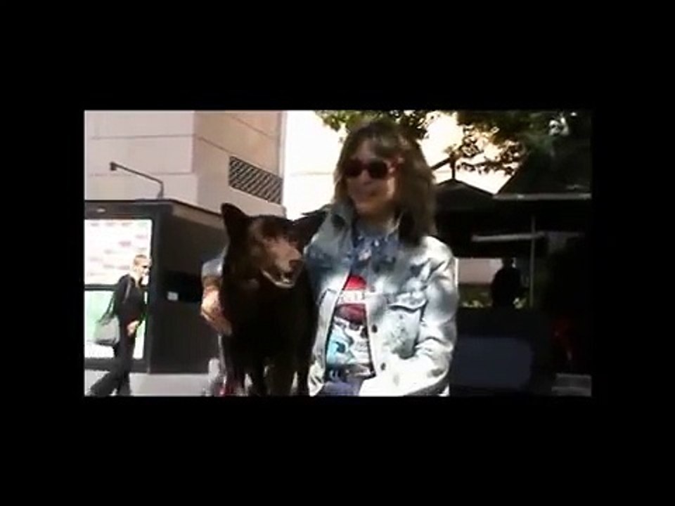 Red Dog Meets Suzi Quatro.mp4