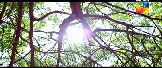 Tumharay Siwa Drama - Title OST Song By Hum Tv