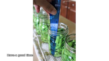 can you eat green beans raw