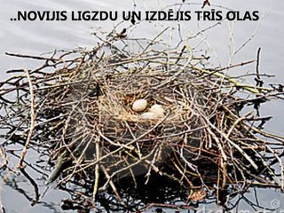 IGAUŅU MĪTS PAR PASAULES RADĪŠANU