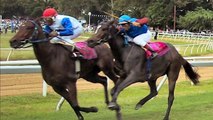 World Heritage Tourism | Barbados Holidays Polo, Horse-Racing