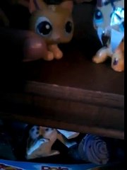 Babysitter   a vampire  lps version