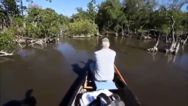 Что это за существо