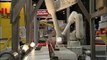 High Speed Robotic Picking Video Automated Cells and Equipment