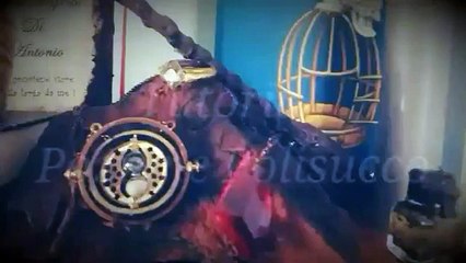 Video tutorial - Pozione Polisucco - SERIES OF HARRY POTTER