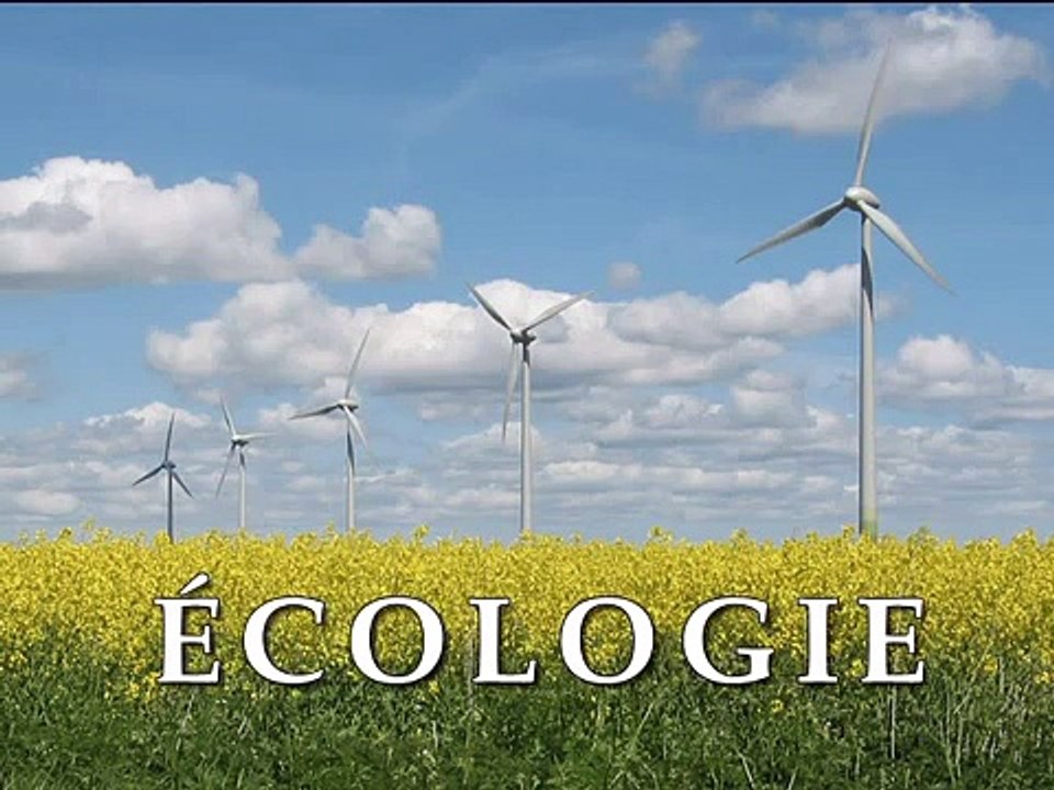 ÉCOLOGIE - "Construisons une ville verte" jardiniers rebelles