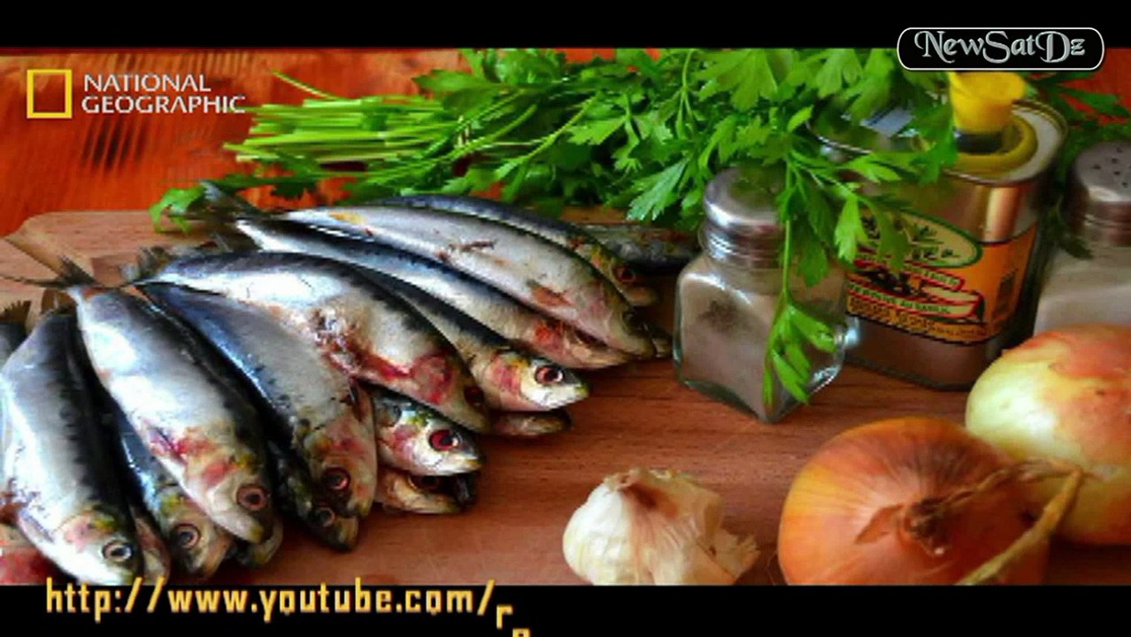 Rais - DRS MDN ANP FLN APC CN APN ENTV BEUR TV Dz KBC Présidence - Chéraga Alger Algérie (NewSatDz)