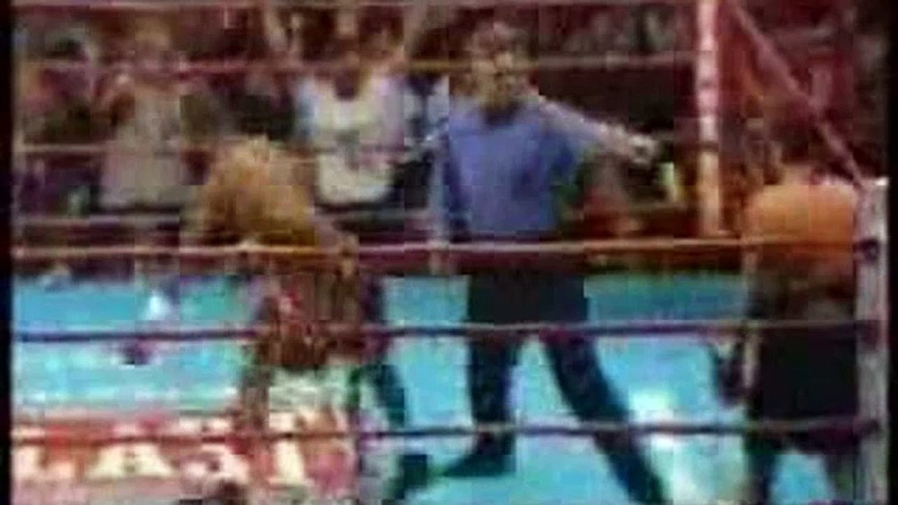 funny boxing knockouts