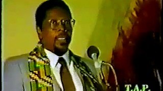 Blueprint for Black power- DR. Amos Wilson part6