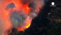 آتش سوزی در جنگل های شمال کالیفرنیا گسترش یافت