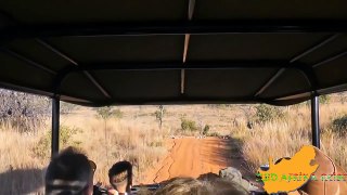 Zuid-Afrika: Kololo en het Welgevonden Game Reserve