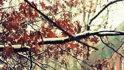 must listen great inspiration about Allah And introin