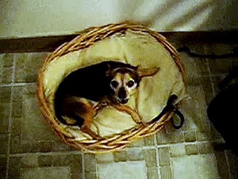 Juanie being pissed off