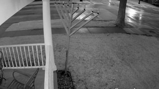 Police seek man who knocked over Chabad menorah