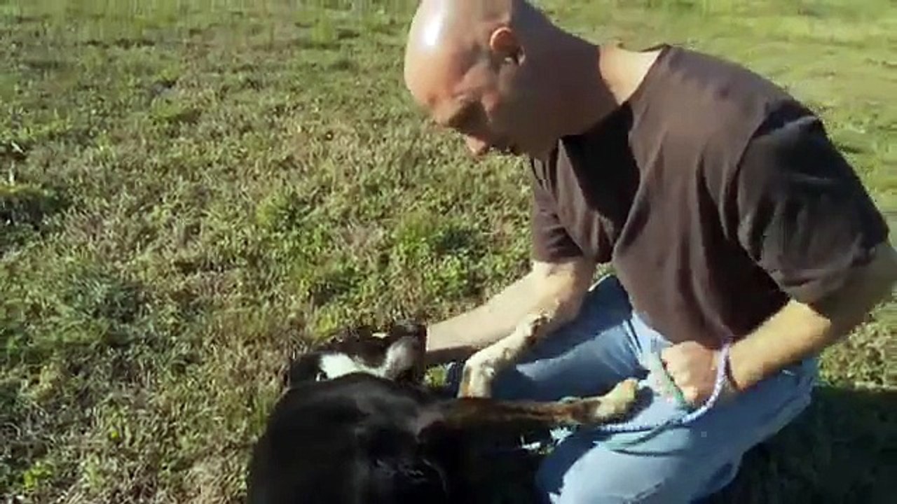 HBO Documentary Films: One Nation Under Dog - Humane Society Sneak Peek