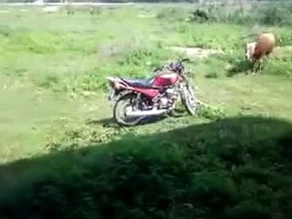 Hilarious Kashmiri Comedy Video You Can't Miss 😂