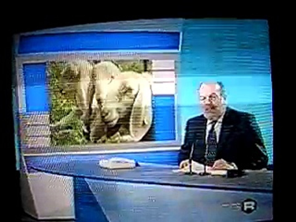 servizio sui pastori vaganti