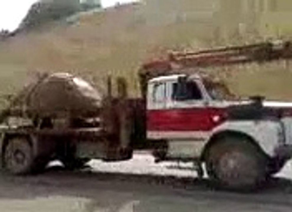 Amaizing World The Biggest Turtle in this Beautiful and Strange World ALLAH KI SHAN In High Qaulity