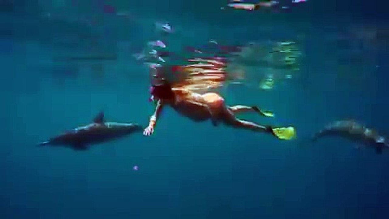 The pregnant woman whose midwife is a DOLPHIN: Momtobe who will give birth in the sea despite exp