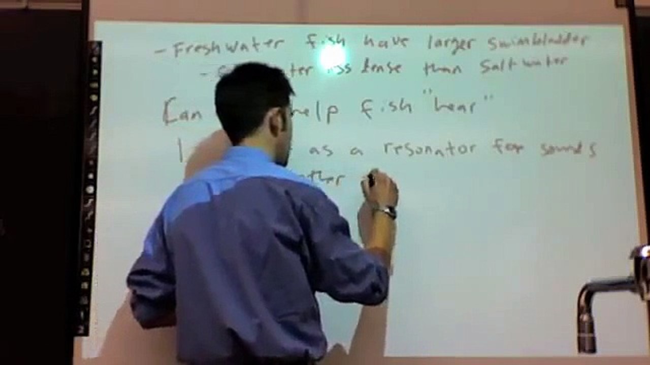 Swim Bladder Lecture