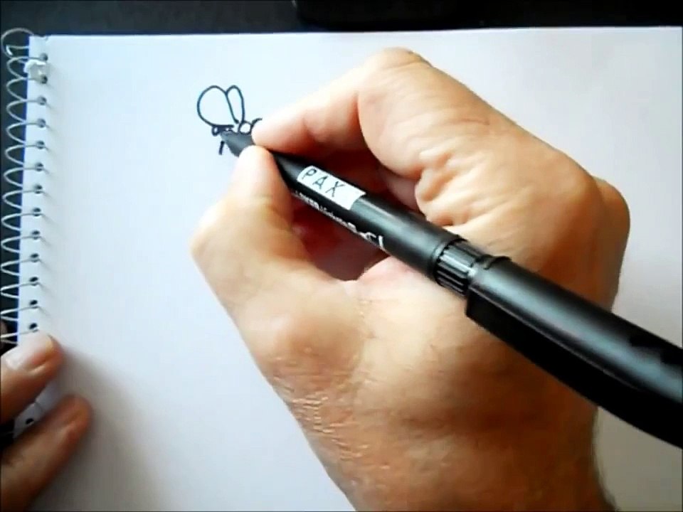 Draw a Cartoon, The Shortest Way