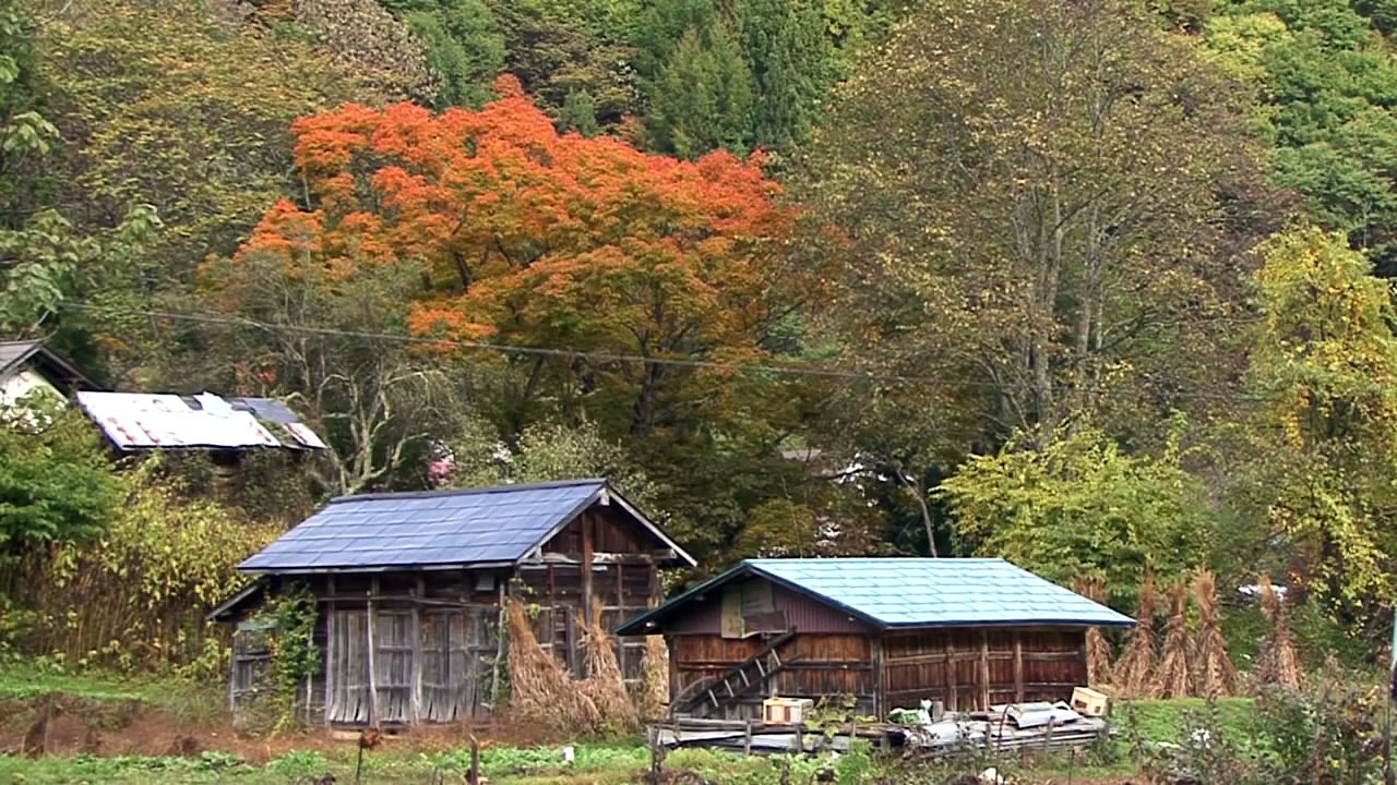 南会津町　水引集落　茅刈りツアー2日目　三輪トラック輸送